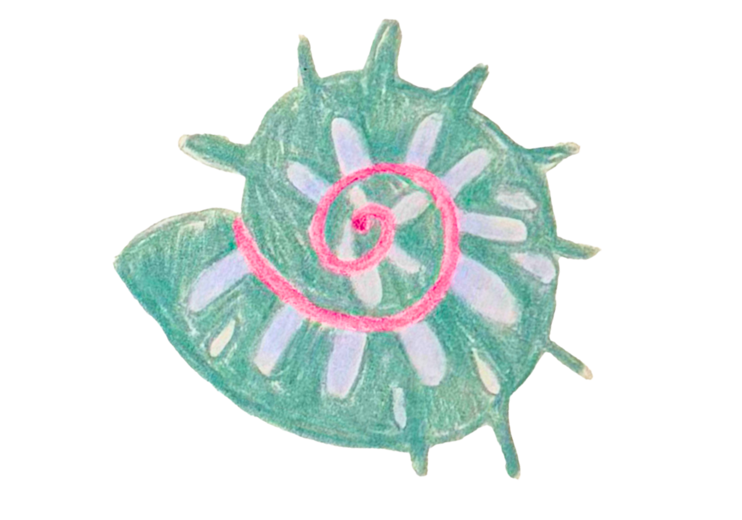 Swirly Shell Stir Stick