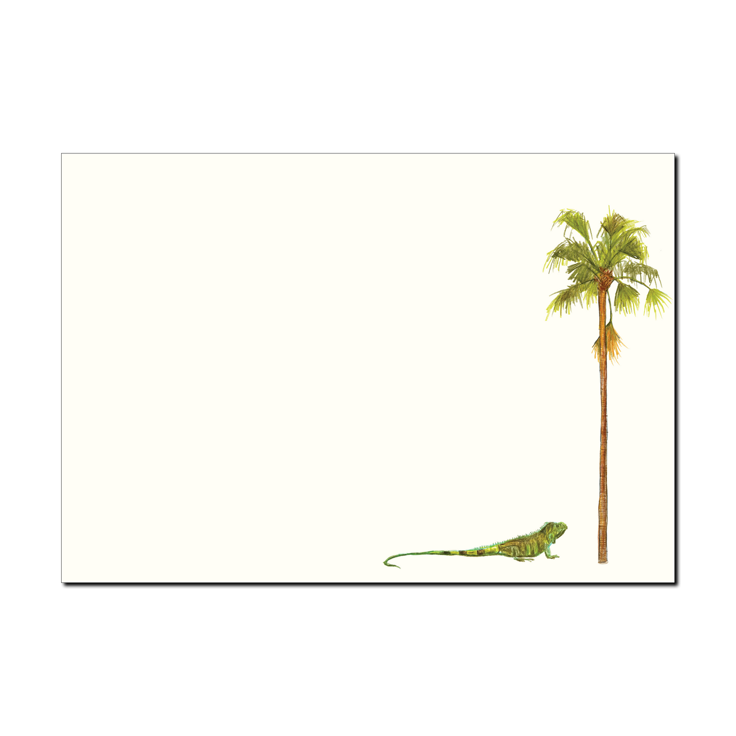 Iguana Palm Notecard