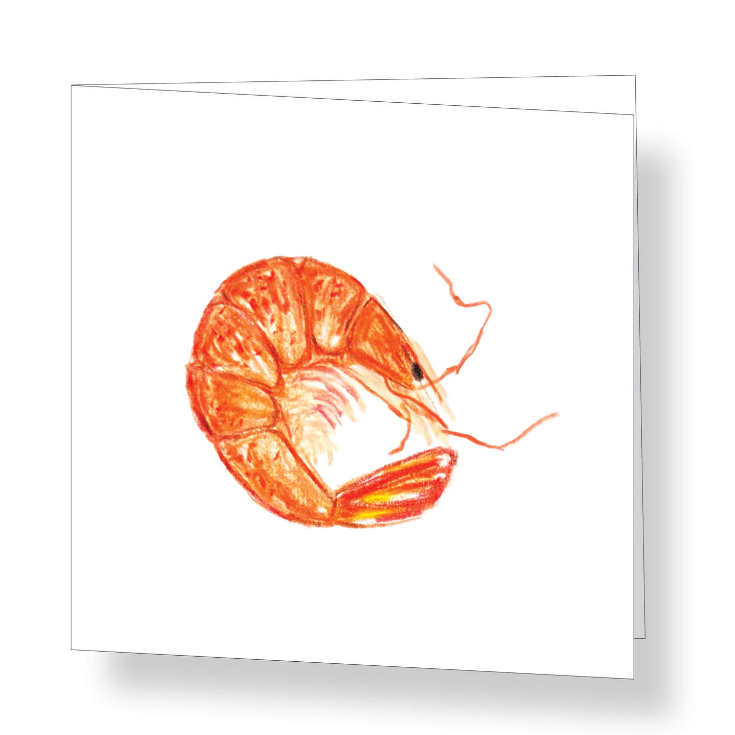 Shrimp Mini Card