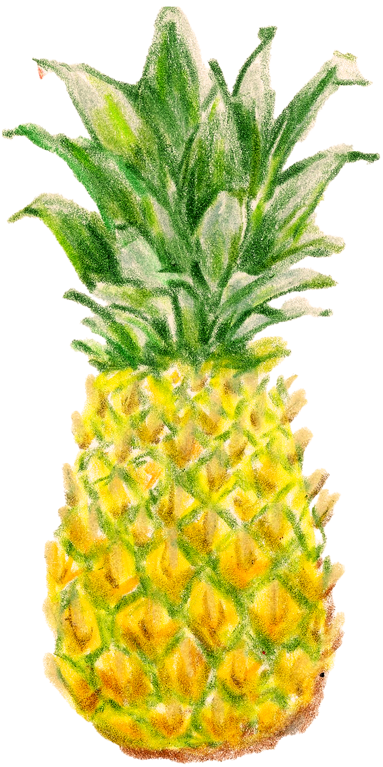 Pineapple Stir Stick