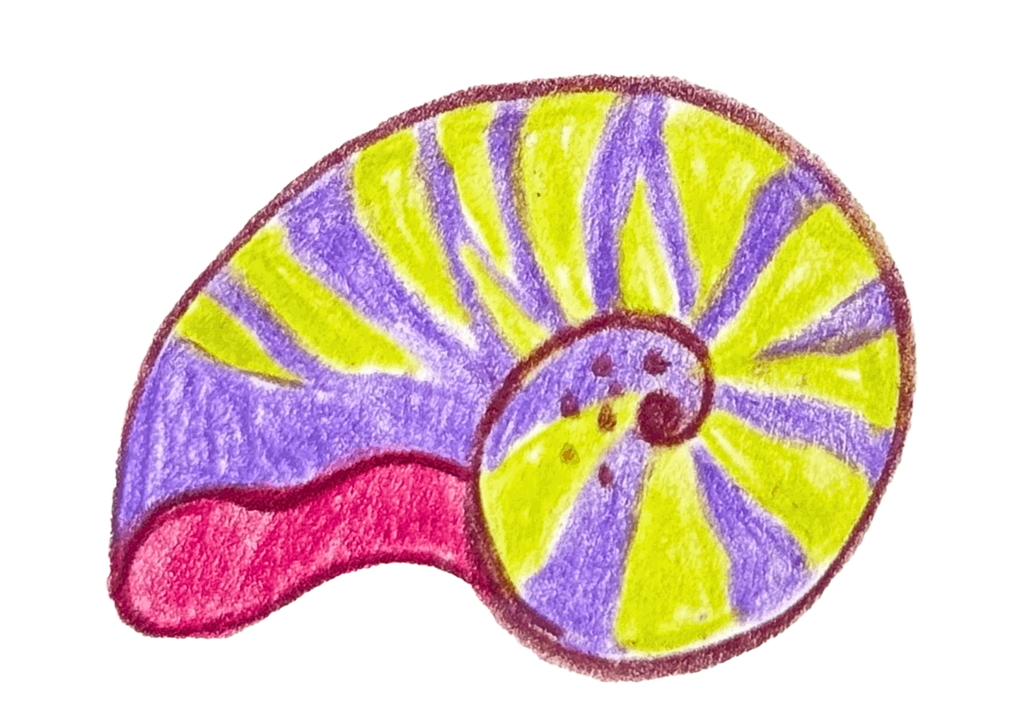 Funky Shell Stir Stick