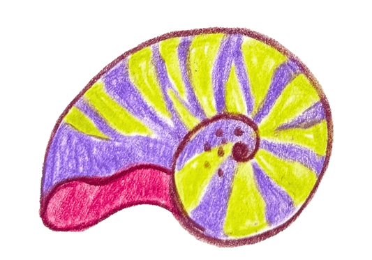 Funky Shell Stir Stick