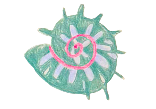 Swirly Shell Stir Stick