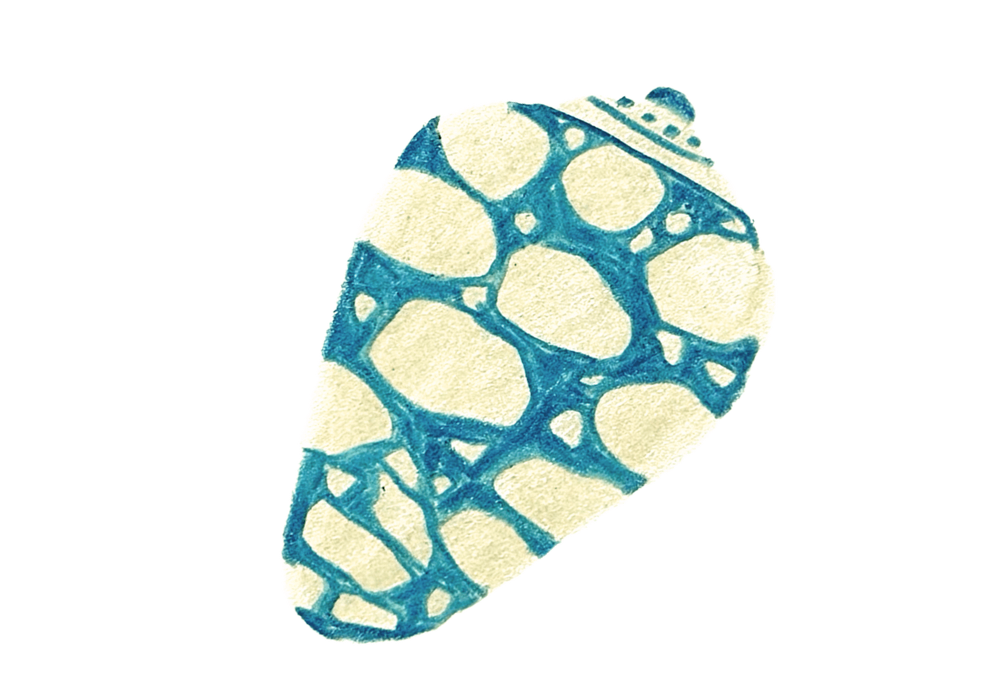 Blue Spot Shell Stir Sticks