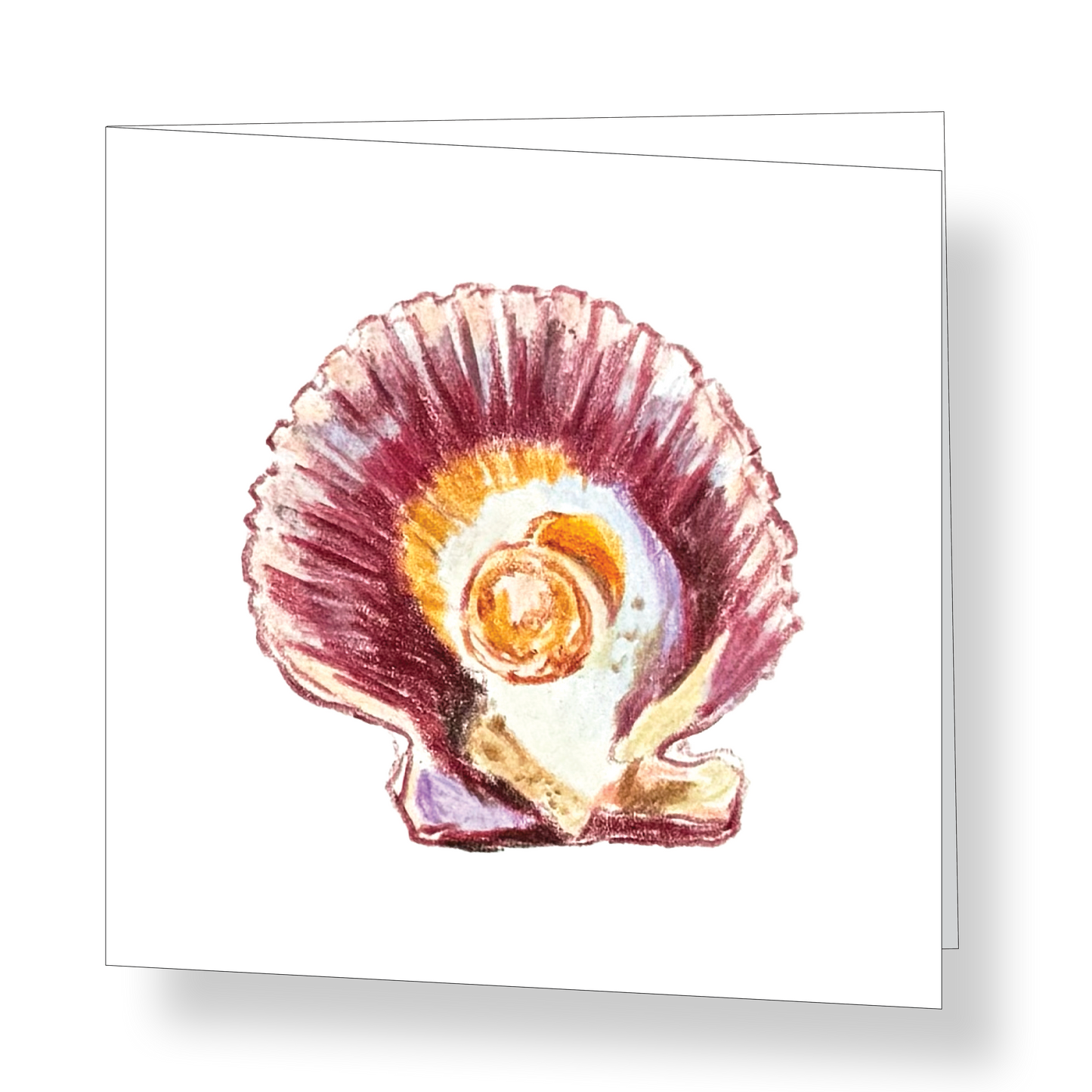 Half Shell Mini Card