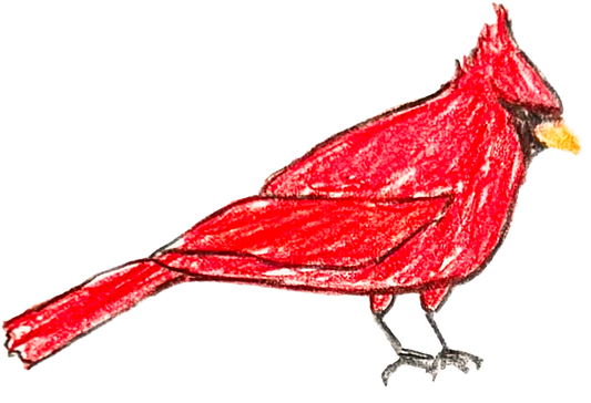 Cardinal Stir Stick